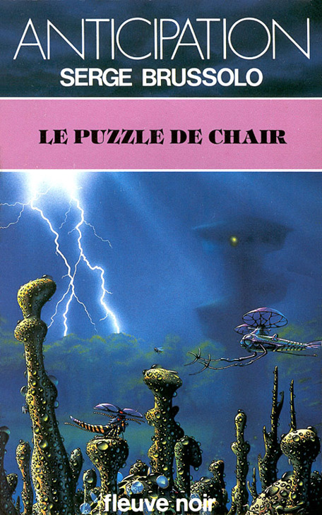 Le puzzle de chair