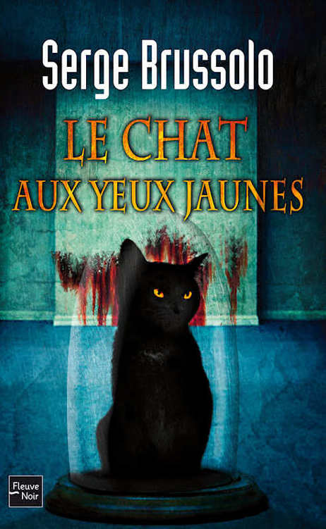 Le chat aux yeux jaunes