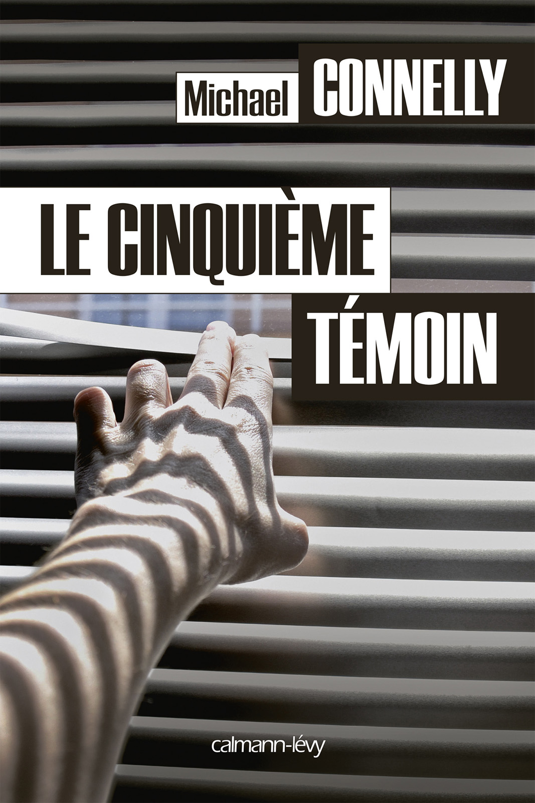 Le Cinquième témoin